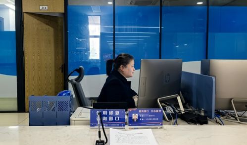 沙坪壩區(qū)信用修復(fù)咨詢(xún)窗口正式啟用 網(wǎng)絡(luò)技術(shù)服務(wù)助力信用重建